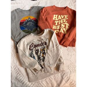 3pc Toddler 4T Sweatshirt Bundle Marvel Dinosaur